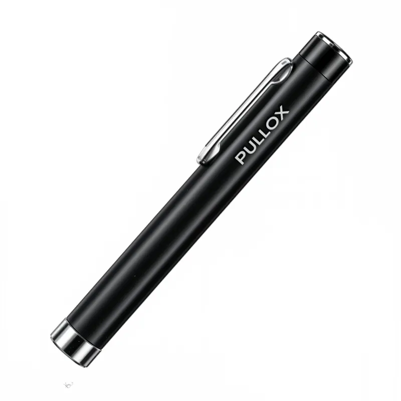 Torches and Emergeny Flashlight — Ent Torch