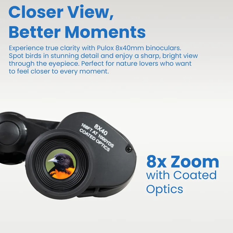 Pullox Professional 8×40 Prism Binocular view 4